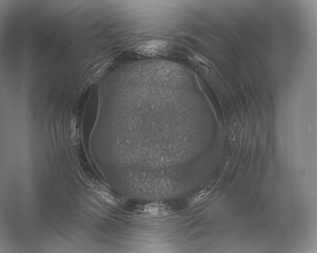 X0000058780420200510171258