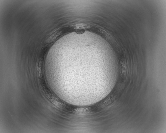 X0000058780422200510171258