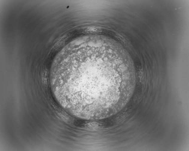 X0000058780423200510171258