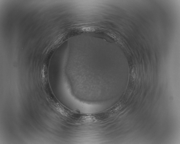 X0000058780424200510171258