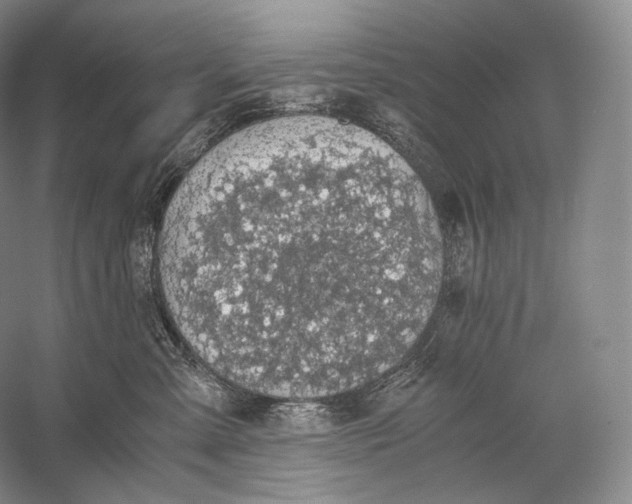 X0000058780427200510171258