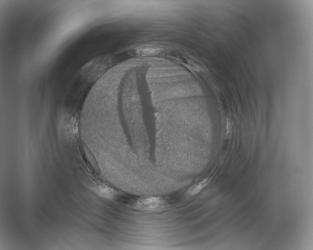 X0000058780431200510171258