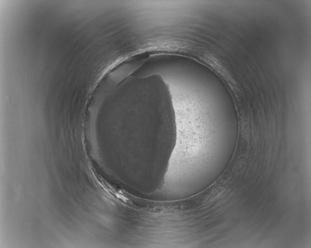 X0000058780434200510171257