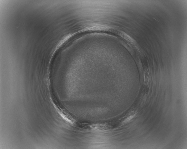 X0000058780436200510171257