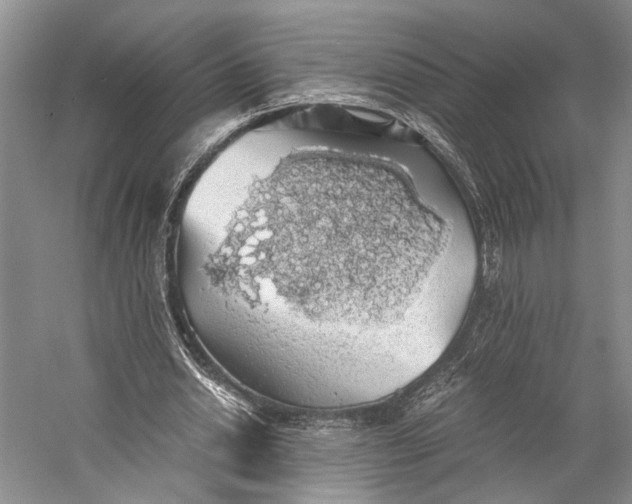 X0000058780438200510171257