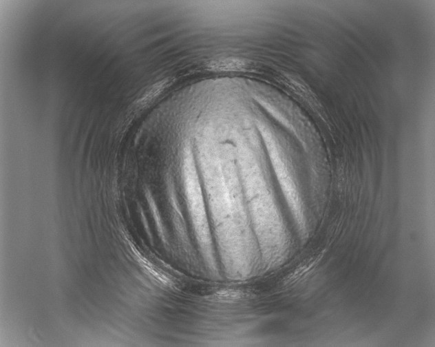 X0000058780441200510171257