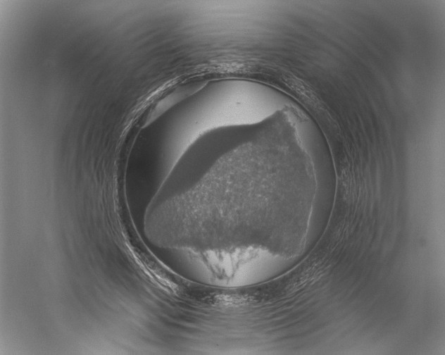 X0000058780442200510171257