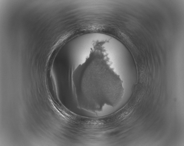 X0000058780443200510171257