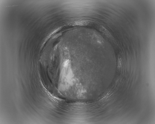 X0000058780444200510171257