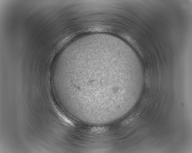 X0000058780445200510171257