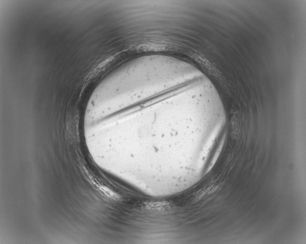 X0000058780446200510171257