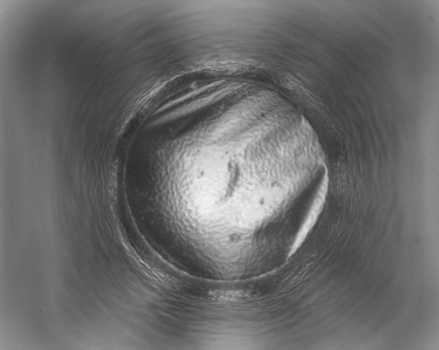 X0000058780448200510171257