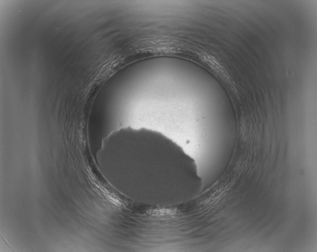 X0000058780449200510171257