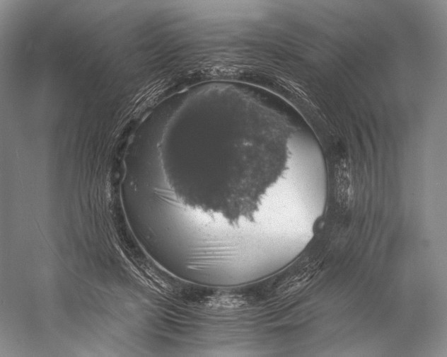 X0000058780451200510171257