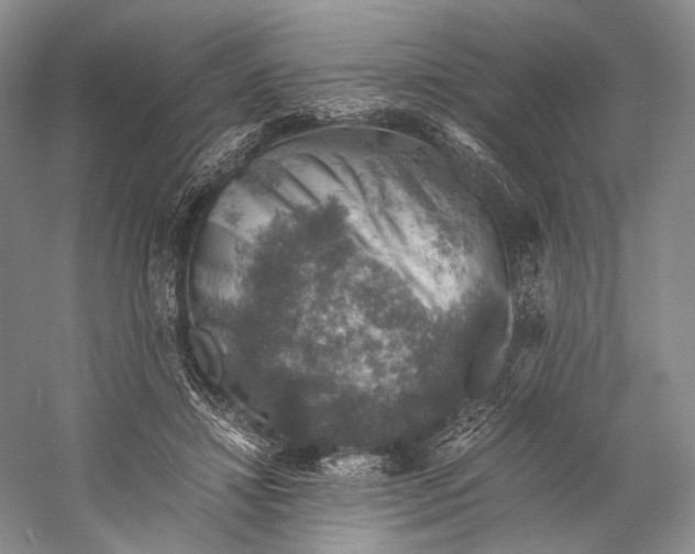 X0000058780452200510171257