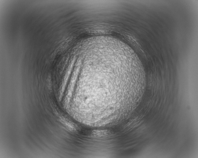 X0000058780457200510171258