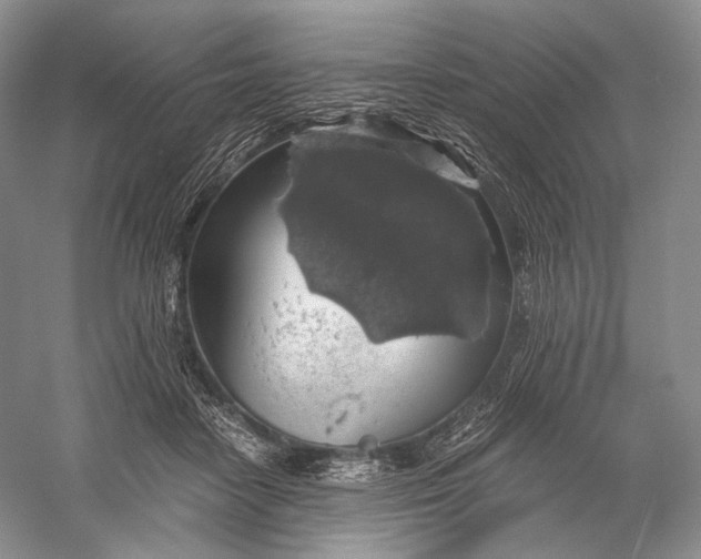 X0000058780458200510171258