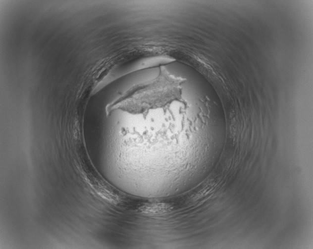 X0000058780459200510171258