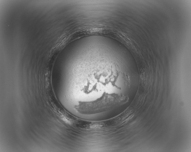 X0000058780462200510171258