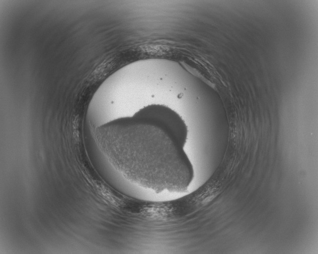 X0000058780466200510171258