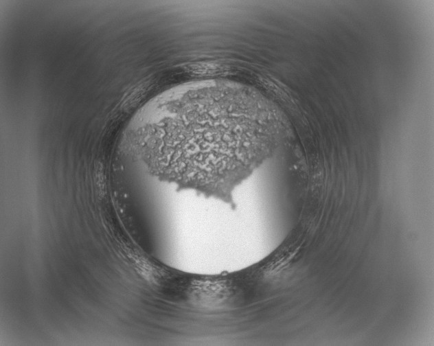 X0000058780469200510171258