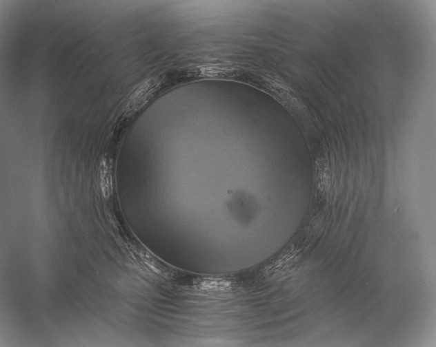 X0000058780471200510171258