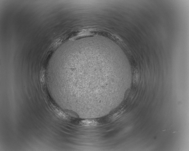 X0000058780477200510171258