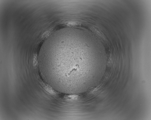 X0000058780478200510171258