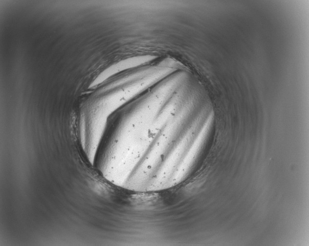 X0000058780480200510171258