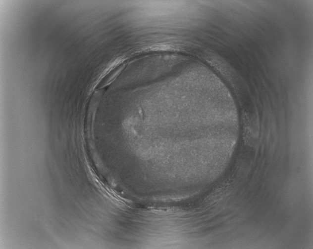 X0000058780482200510171257