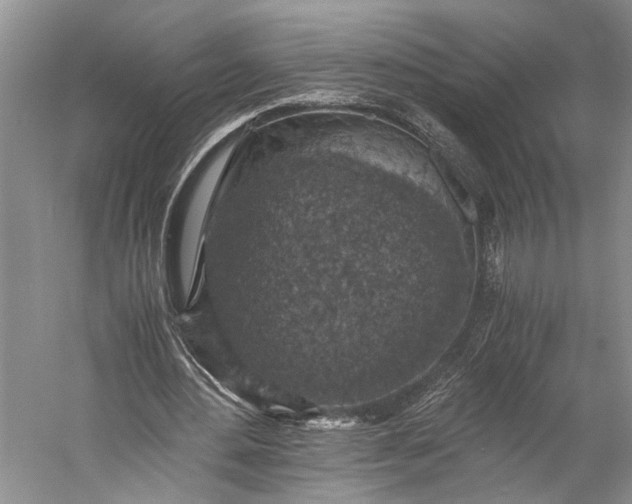 X0000058780484200510171257