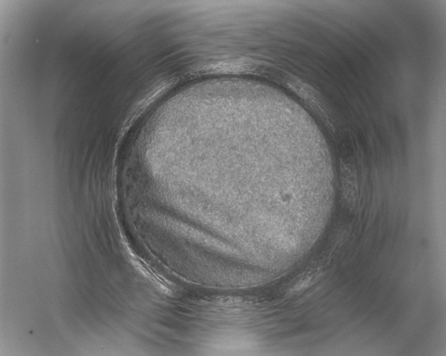 X0000058780486200510171257