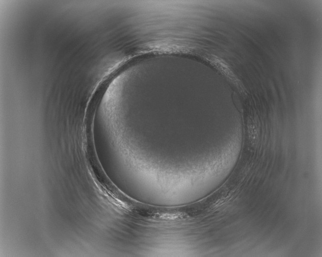 X0000058780488200510171257