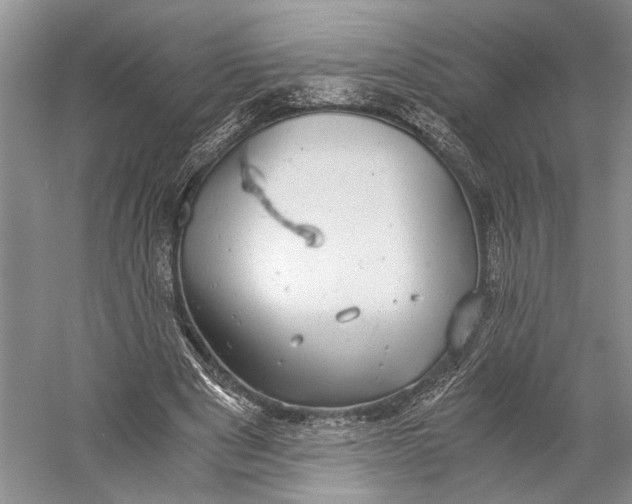 X0000058780489200510171257