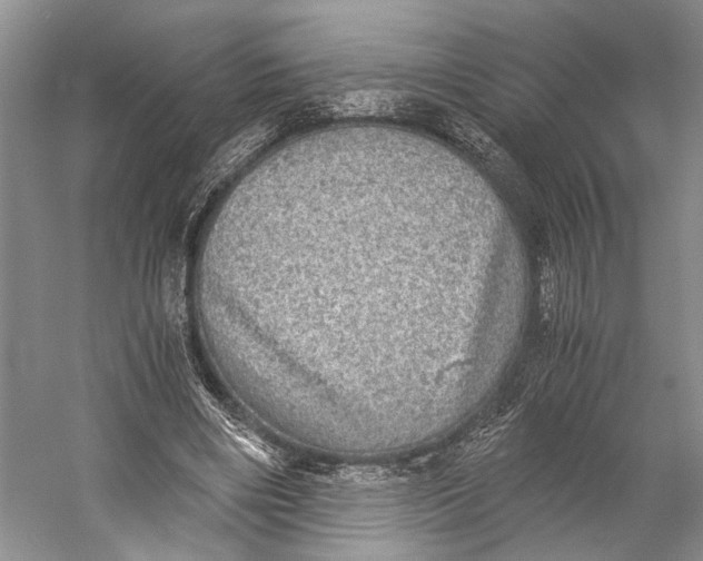 X0000058780490200510171257