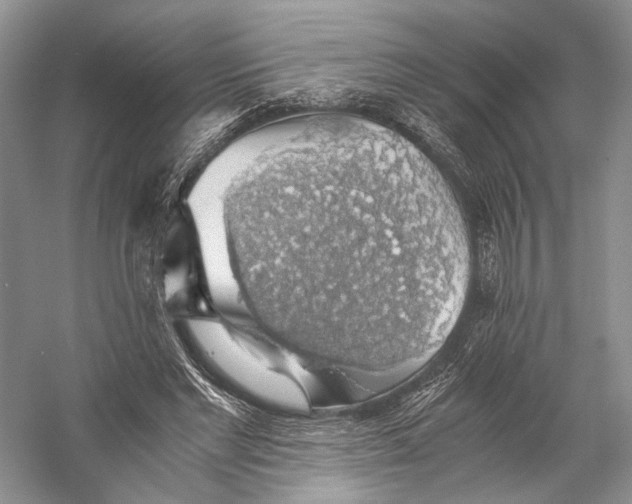 X0000058780493200510171257