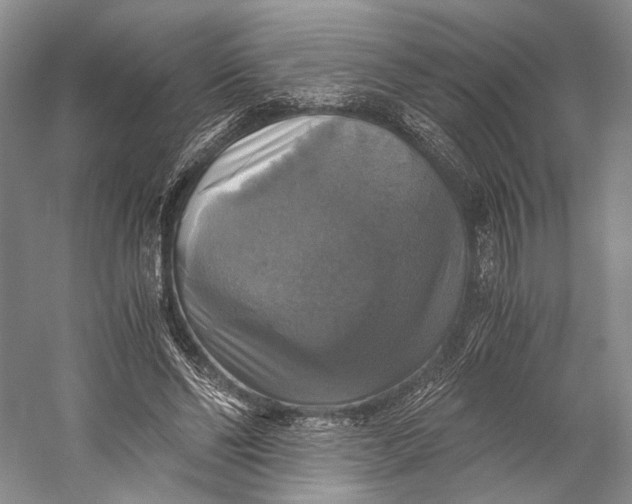 X0000058780494200510171257