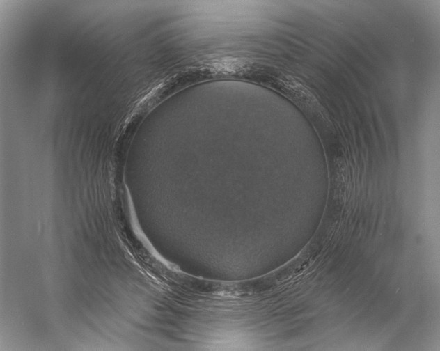 X0000058780496200510171257