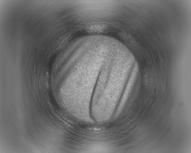 X0000058780498200510171257