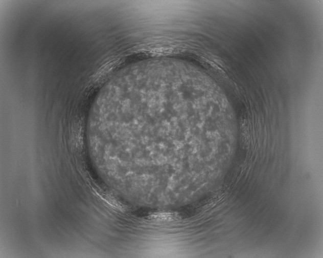 X0000058780499200510171257