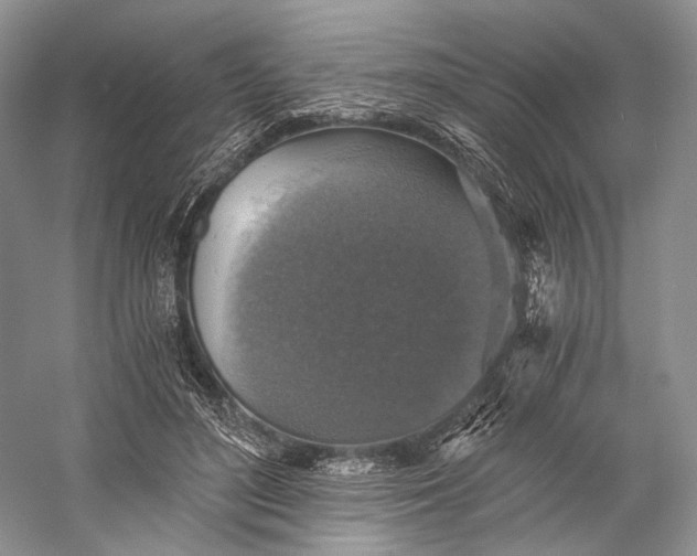 X0000058780500200510171257