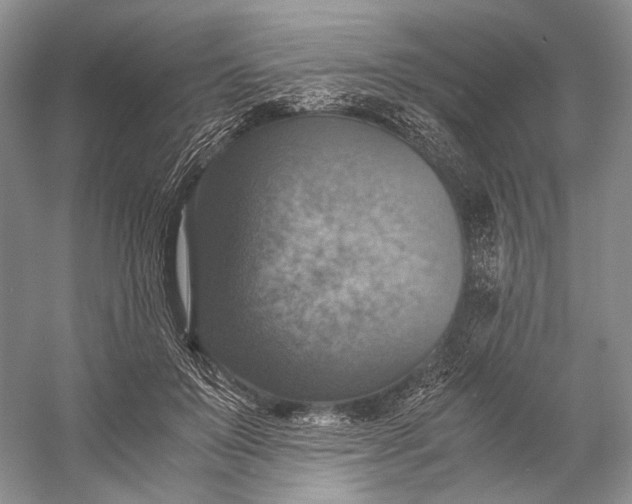 X0000058780503200510171257