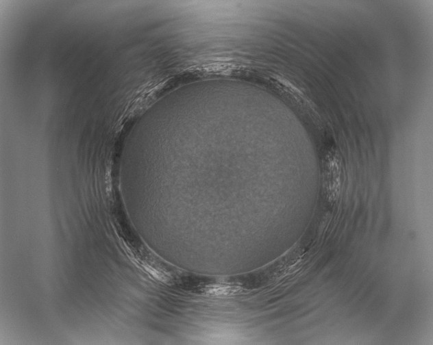 X0000058780504200510171257