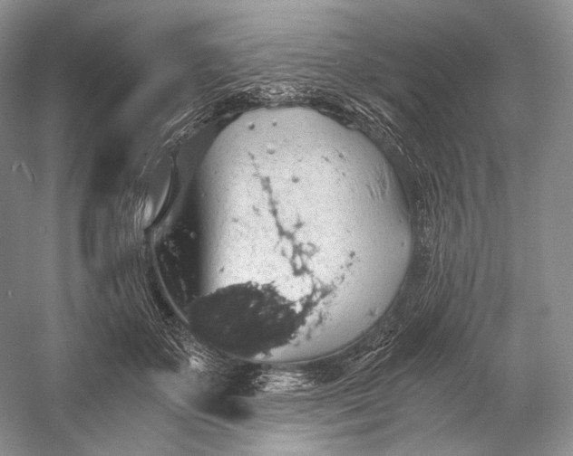 X0000058780507200510171257