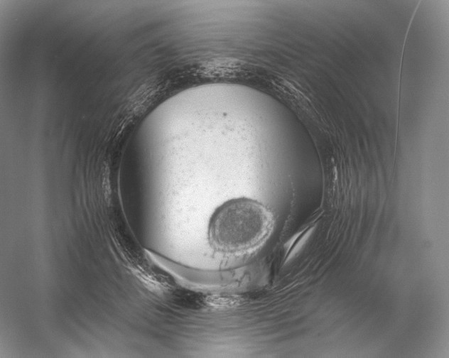 X0000058780508200510171257