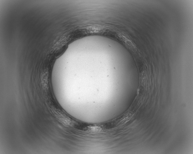 X0000058780509200510171257