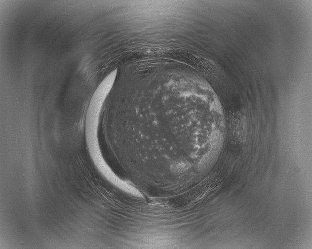 X0000058780511200510171257