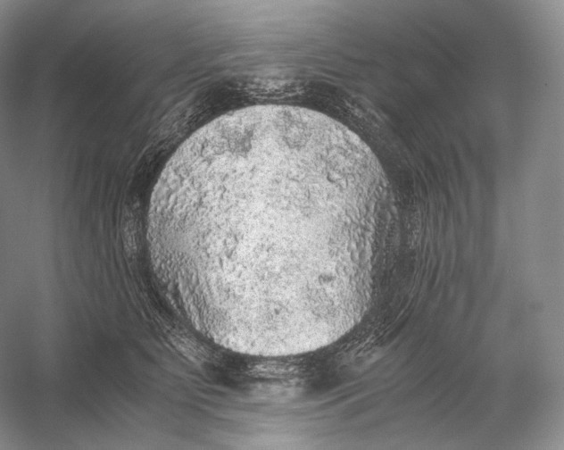 X0000058780515200510171257