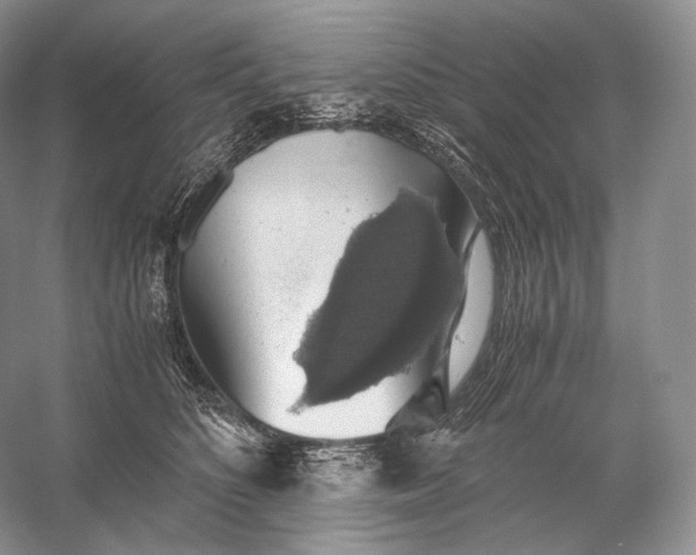 X0000058780516200510171256