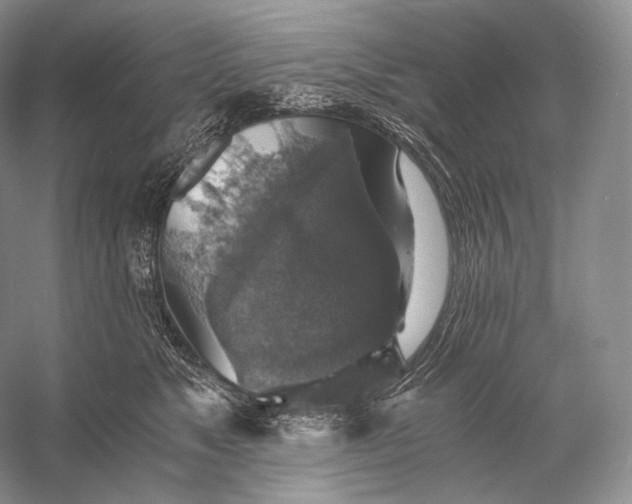 X0000058780517200510171256